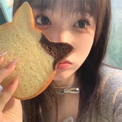 侵入者