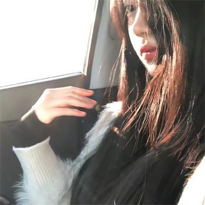 2024青春芒果节